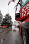 19.11.2022 Christbaum für die Kremser Feuerwehr